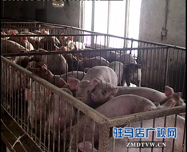 <a  href='http://www.s-designstudio.com/listinfo-16-0.html'  title='養(yǎng)殖' target='_blank' >養(yǎng)殖</a>1_副本.jpg