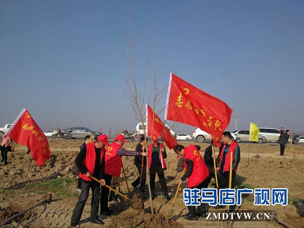 1、確山縣衛(wèi)計(jì)委在蓮花社區(qū)開展植樹造林活動(dòng).jpg