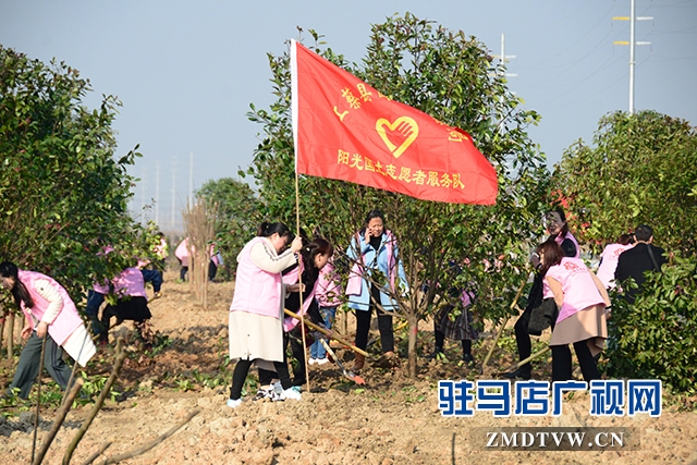 07志愿者在植樹(shù).JPG