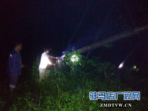 泌陽(yáng)：暴雨突襲電路毀壞 電力職工奮力搶修