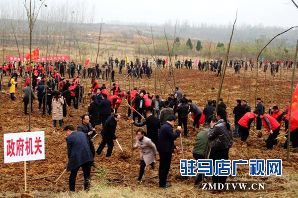 泌陽：全面啟動(dòng)實(shí)施國(guó)土綠化提速行動(dòng) 