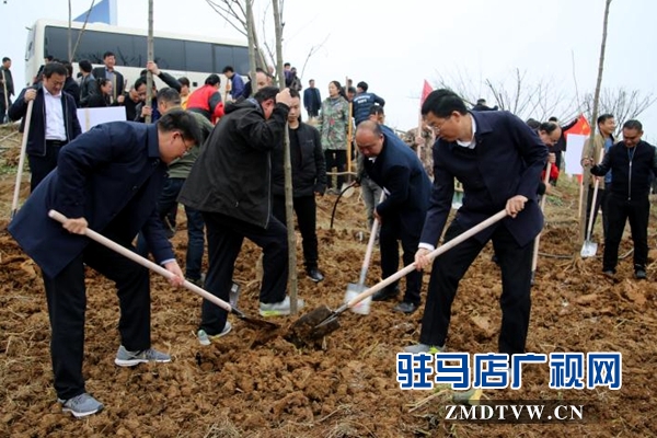 泌陽：全面啟動(dòng)實(shí)施國(guó)土綠化提速行動(dòng) 