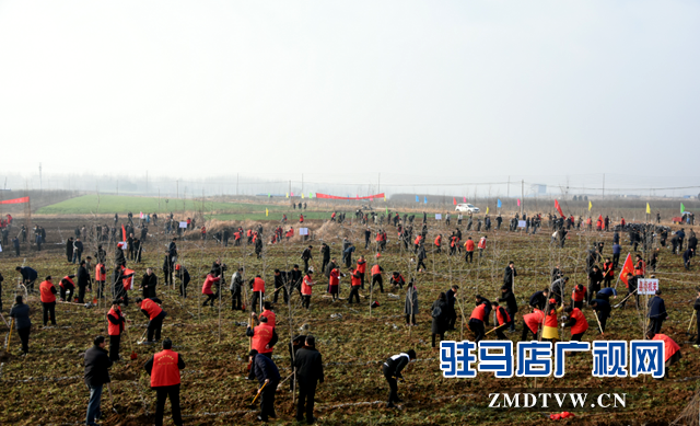 泌陽(yáng)縣2019年春季義務(wù)植樹活動(dòng)啟動(dòng)