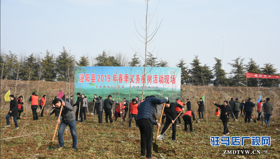 泌陽(yáng)縣2019年春季義務(wù)植樹活動(dòng)啟動(dòng)