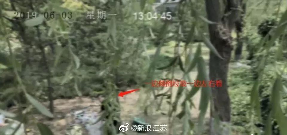 新時代的網(wǎng)紅靠什么才能“躺贏”？ 