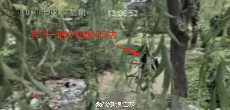 新時代的網(wǎng)紅靠什么才能“躺贏”？ 