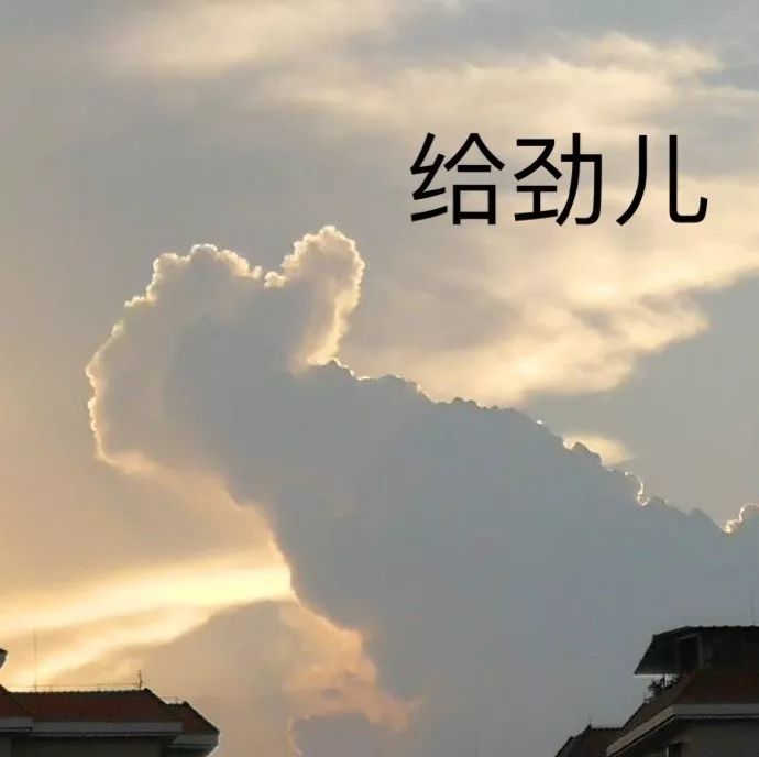 給科學(xué)家起沙雕綽號(hào)？是不是袁隆平讓你們吃的太飽了？ 