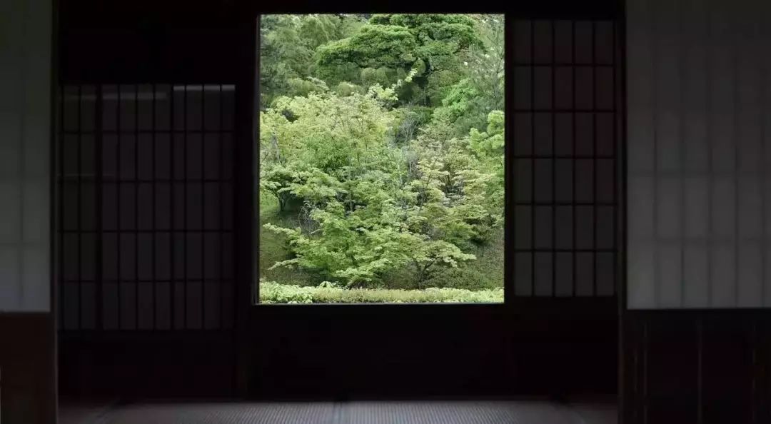 真正的審美是與美保持距離，而不是占有