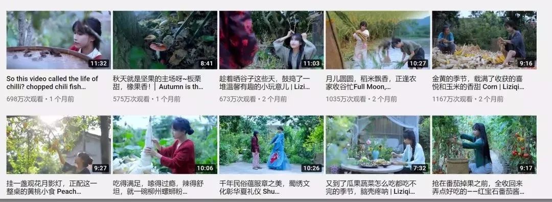 肖鋒：請(qǐng)大家放過(guò)李子柒！