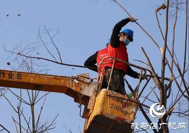 泌陽縣供電公司對(duì)電力“把脈問診”助力企業(yè)復(fù)工復(fù)產(chǎn)