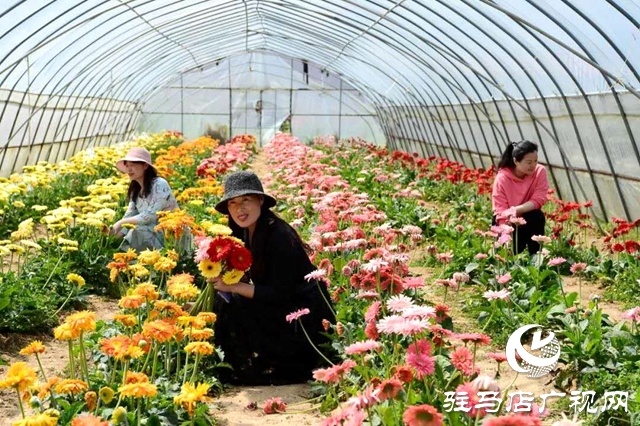 余長旺：下崗再創(chuàng)業(yè)，成就人生夢