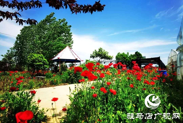 余長旺：下崗再創(chuàng)業(yè)，成就人生夢