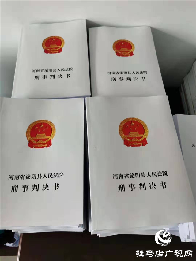 14名被告人全部判刑，主犯獲刑二十年
