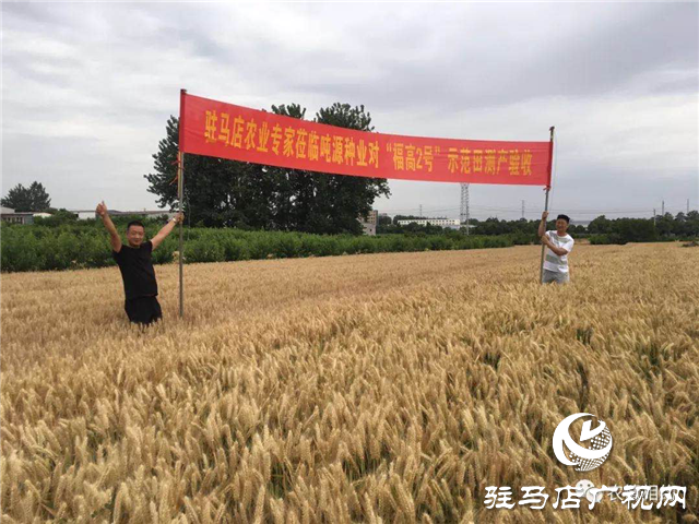 噸源種業(yè)召開“福高2號(hào)”播種現(xiàn)場會(huì)