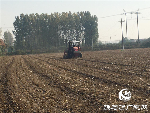 噸源種業(yè)召開“福高2號(hào)”播種現(xiàn)場會(huì)