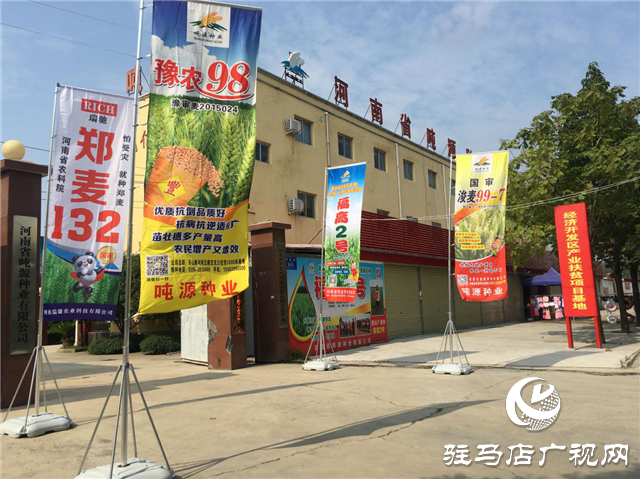 噸源種業(yè)召開“福高2號(hào)”播種現(xiàn)場會(huì)