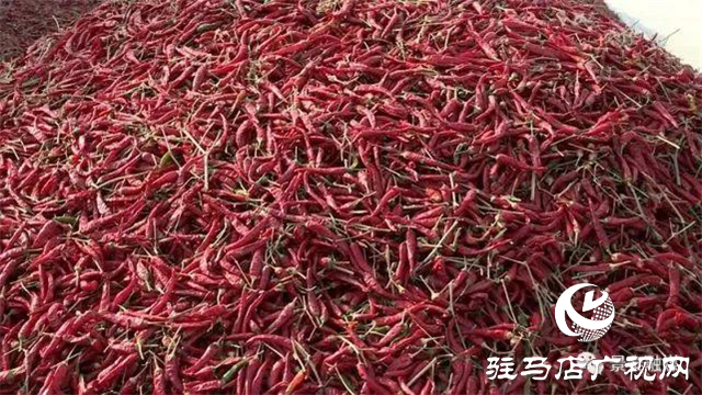 攜手北沃 見證豐收 ——北沃高鈣肥再顯神威，表現(xiàn)驚艷眾人！