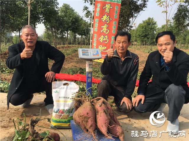 攜手北沃 見證豐收 ——北沃高鈣肥再顯神威，表現(xiàn)驚艷眾人！
