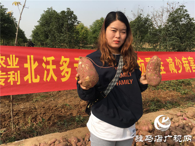 攜手北沃 見證豐收 ——北沃高鈣肥再顯神威，表現(xiàn)驚艷眾人！