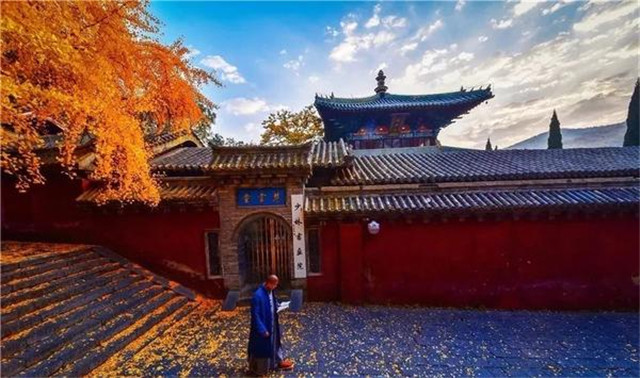 “古剎秋景惹人醉，金色滿園迎賓朋”——嵩山少林寺千年銀杏已到了一年之中最美時節(jié)！