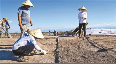 遺址格局逐步清晰，歷史文化內(nèi)涵日益豐富  北庭故城考古發(fā)現(xiàn)不斷深入