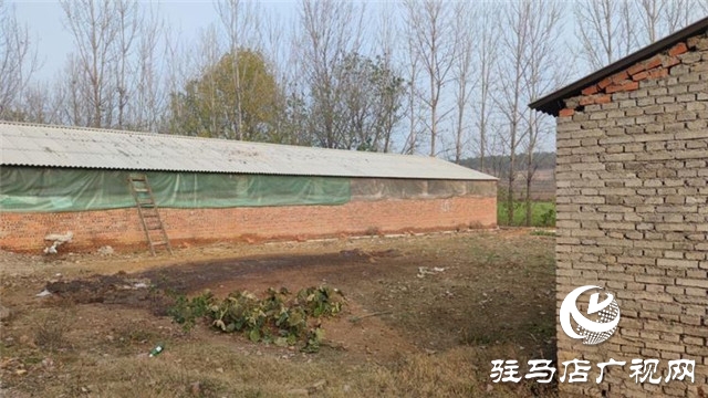 重獲“新生”，泌陽縣下碑寺鄉(xiāng)曹莊村貧困戶養(yǎng)豬走出致富路