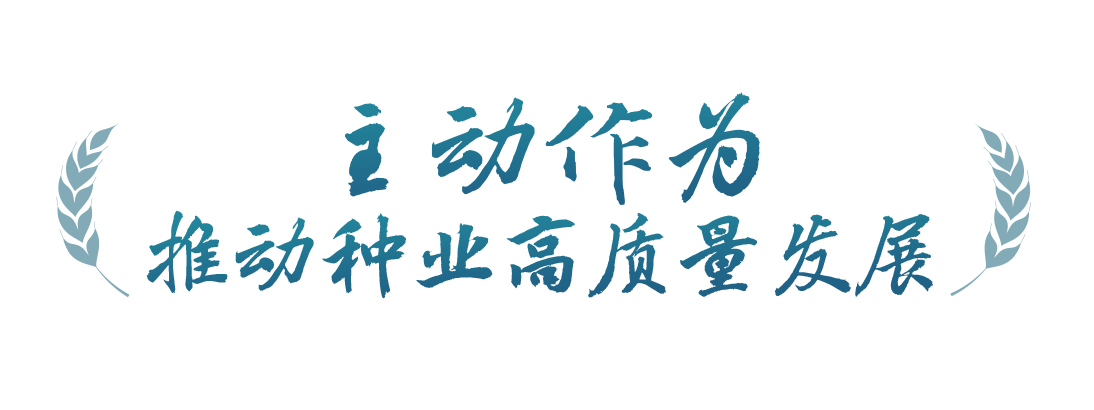 春事看農(nóng)桑丨播下好種子，豐收有底氣