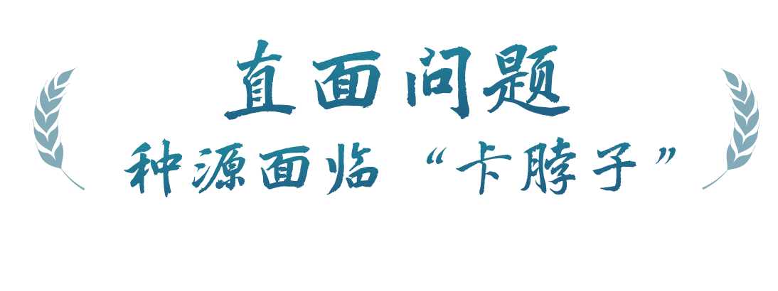 春事看農(nóng)桑丨播下好種子，豐收有底氣