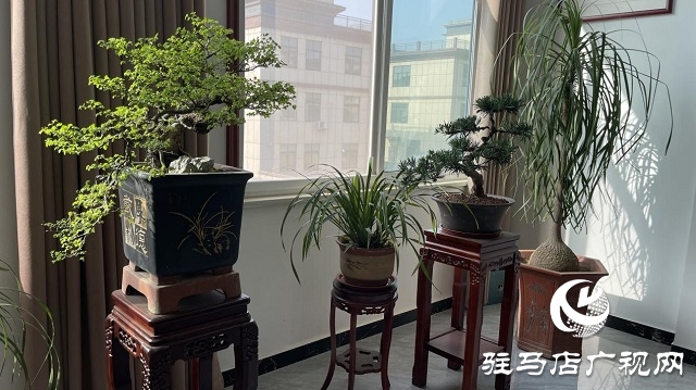 當(dāng)日預(yù)訂三萬畝地！六豐農(nóng)業(yè)百農(nóng)607觀摩訂貨會(huì)火爆收官