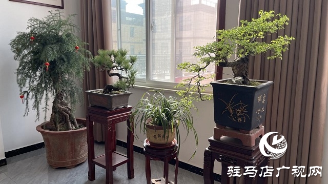 當(dāng)日預(yù)訂三萬畝地！六豐農(nóng)業(yè)百農(nóng)607觀摩訂貨會(huì)火爆收官