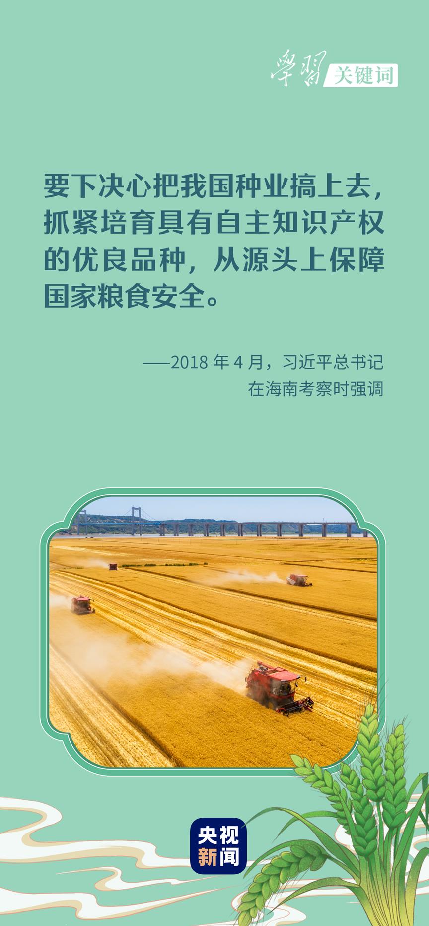 春事看農(nóng)桑丨播下好種子，豐收有底氣