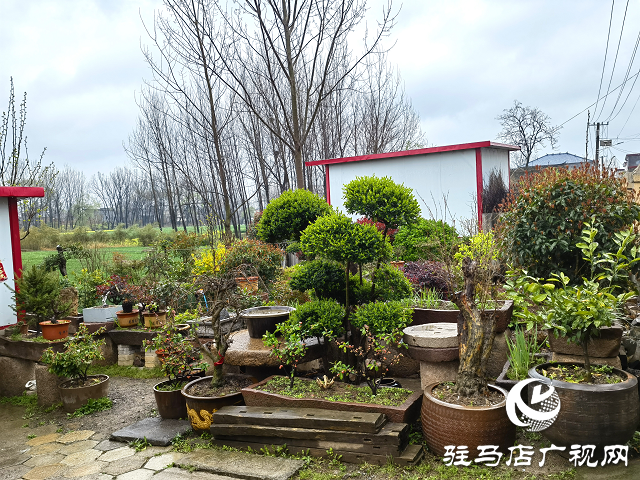 上蔡縣大路李鄉(xiāng)：強(qiáng)“本手”、創(chuàng)“妙手”、減“俗手”助力人居環(huán)境大嬗變