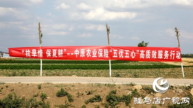 23套抗旱設(shè)備！這家公司向泰山廟鎮(zhèn)捐贈“及時雨”
