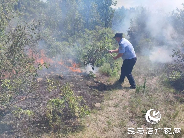 泌陽(yáng)民警秒變“消防衛(wèi)士”火速處置一起山火險(xiǎn)情