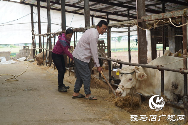 泌陽(yáng)縣：產(chǎn)業(yè)興旺助民增收致富