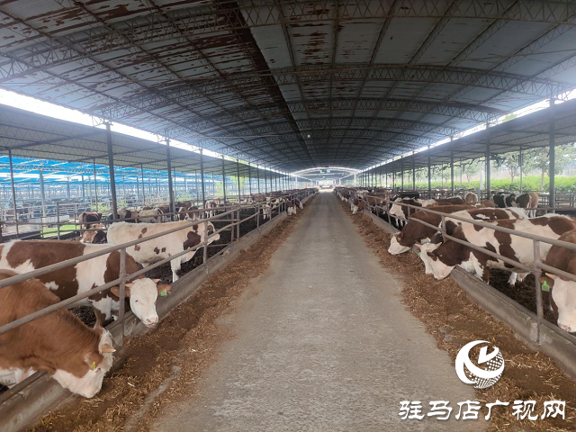 泌陽(yáng)縣：產(chǎn)業(yè)興旺助民增收致富
