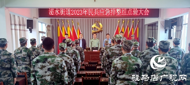 泌陽縣泌水街道開展2023年民兵應急排整組點驗