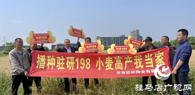 駐研種業(yè)捷報(bào)頻傳：駐麥126、駐麥156、駐研198相繼通過(guò)審定