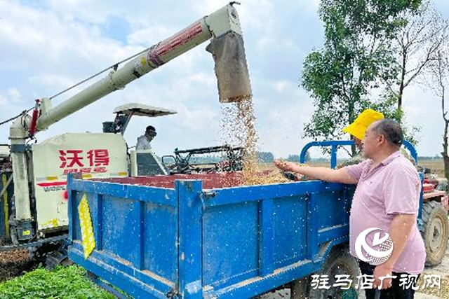 汝南縣：搶抓天氣晴好有利時(shí)機(jī)搶收麥子