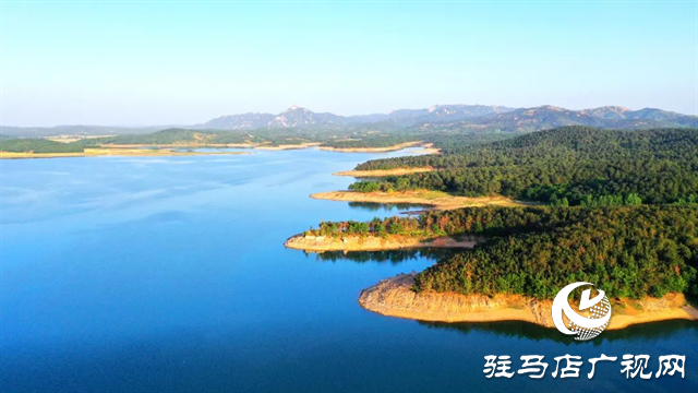 六月的泌陽(yáng)，美出圈了！