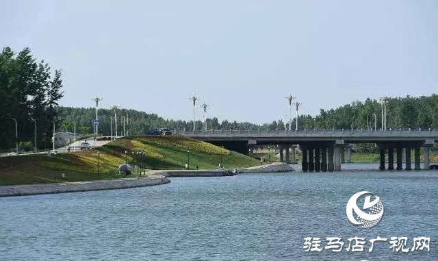 六月的泌陽(yáng)，美出圈了！