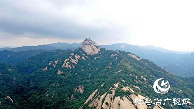 六月的泌陽(yáng)，美出圈了！