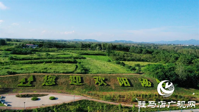 六月的泌陽(yáng)，美出圈了！
