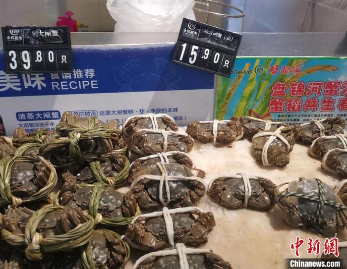 你吃大閘蟹了嗎？降價(jià)了，便宜的一只不到10元