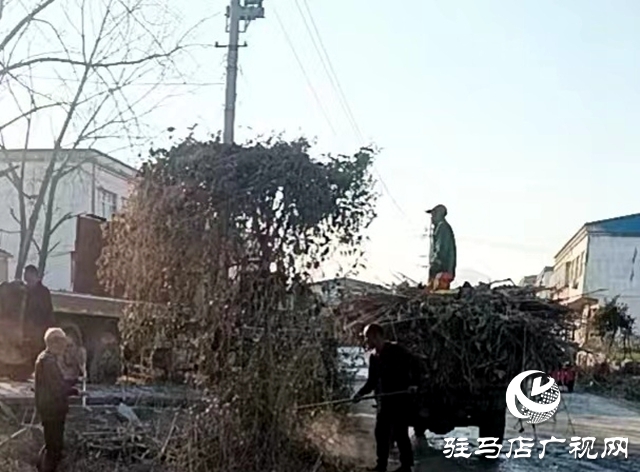 泌陽(yáng)縣象河鄉(xiāng)：整治人居環(huán)境，助力鄉(xiāng)村振興