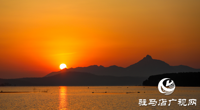 泌陽(yáng)縣：魚(yú)躍人歡冬捕忙 喜迎新春好“豐”景