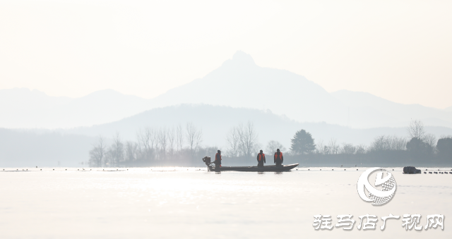 泌陽(yáng)縣：魚(yú)躍人歡冬捕忙 喜迎新春好“豐”景