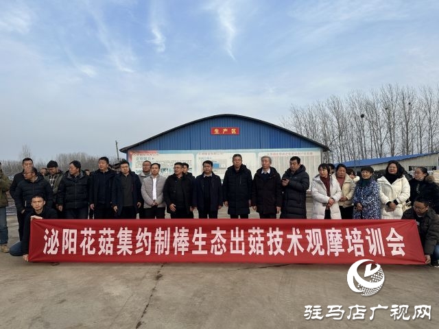 泌陽花菇集約制棒生態(tài)出菇技術(shù)觀摩培訓(xùn)會召開