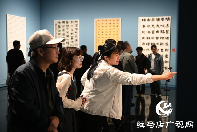 泌陽縣書法家協(xié)會會員齊聚，共賞全國第十三屆書法篆刻展