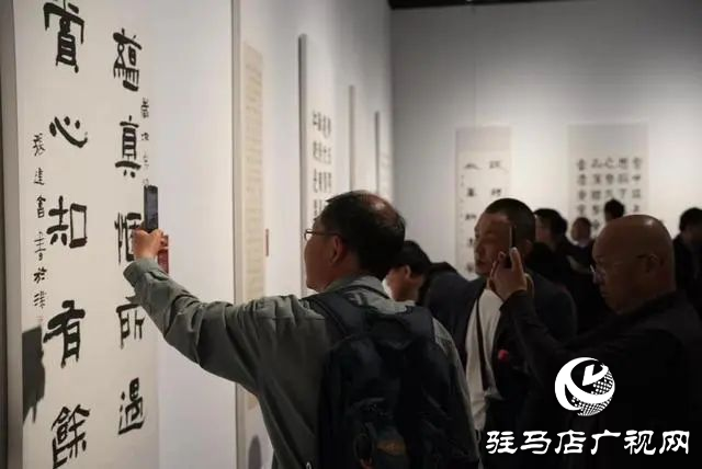 泌陽縣書法家協(xié)會會員齊聚，共賞全國第十三屆書法篆刻展